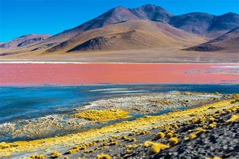 It is located at an elevation of 3,926 meters above sea level. Paket Tour 16D/15N Favourite The Heart of The Andean ...