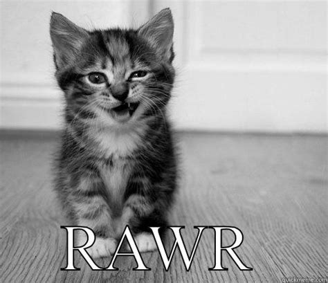 Rawr Kitty Quickmeme