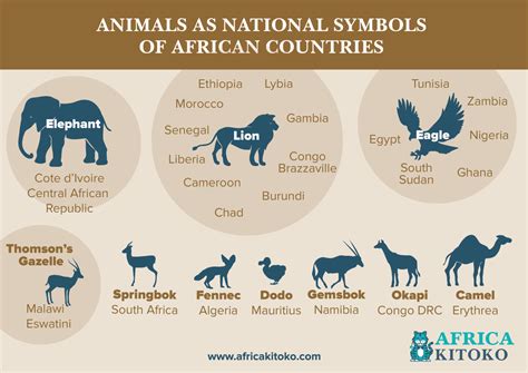 The Emblematic Animals Of African Countries Africa Kitoko