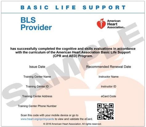 Renewal Course Aha Basic Life Support Bls Ph