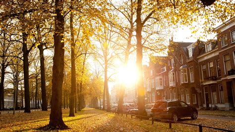 Sunny Autumn Afternoon In Utrecht Netherlands Landscape Wallpaper