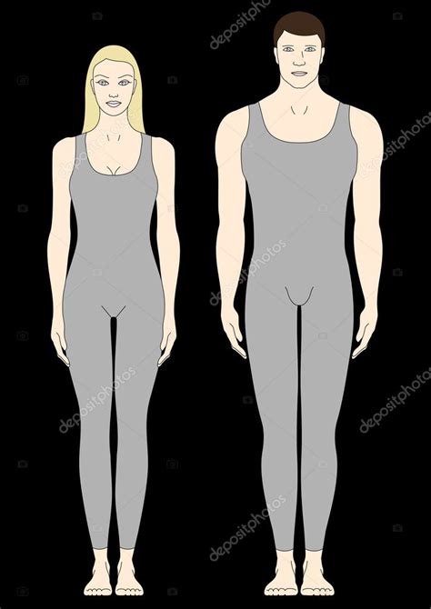 Male And Female Bodies Stock Vector By ©alekup 5479255