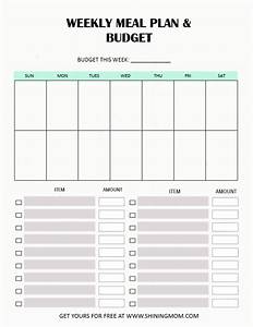 Printable Weekly Budget Printable Expenses Table Finance Recording
