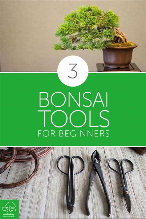 These wires come in a set of 4 with each wire roll having a different width mainly 1mm, 3mm, 2mm and 4mm. 3 Essential Bonsai Tools for Beginners and why they're ...