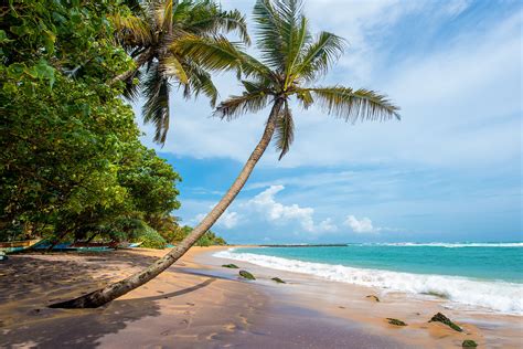5 Best Beaches In Sri Lanka