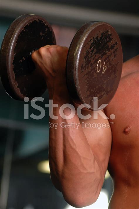 Bicep Curl Stock Photo Royalty Free Freeimages
