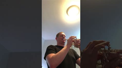 Die dächer der niedlichen fachwerkhäuser funkeln und glitzern unter strahlend blauem himmel und die. Hummel 3 - YouTube