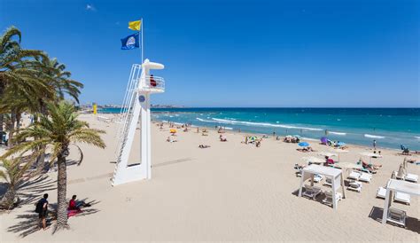 We did not find results for: Archivo:Playa del Postiguet, Alicante, España, 2014-07-04 ...