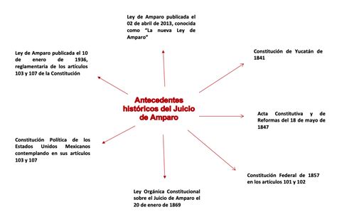 Antecedentes Del Juicio De Amparo Partes Y Principios Derechomexicano Hot Sex Picture