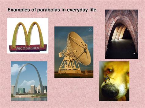 Parabolas In Real Life Examples