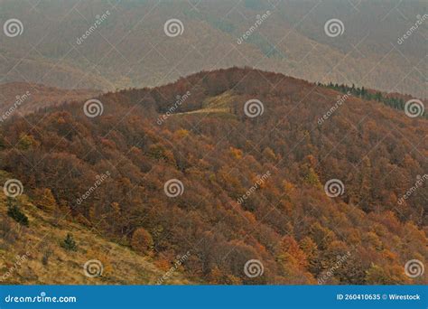 Range Of High Mountains Covered With Colorful Trees In Autumn Stock