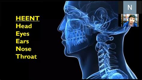 Head And Neck Assessment Youtube