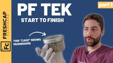 Mushrooms grow best in cooler environments, but a heating pad is needed to keep spores warm until they grow their mycelia. Start To Finish "PF Tek" For Growing Mushrooms At Home ...