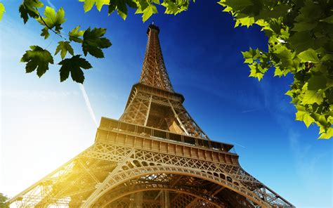 Eiffel Tower Full Hd Wallpaper And Background Image 1920x1200 Id311726