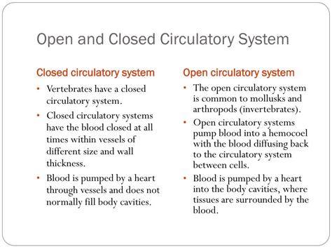 How Open Vs Closed Circulatory Systems Function