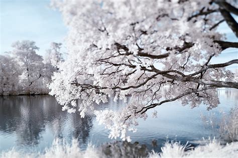 Infrared Photography Tutorial Guide To Camera Settings And Ir Filters