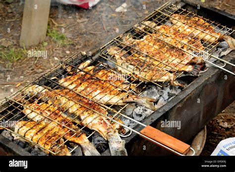Trout On A Charcoal Grill Fish Grilled Barbecue Stock Photo Alamy
