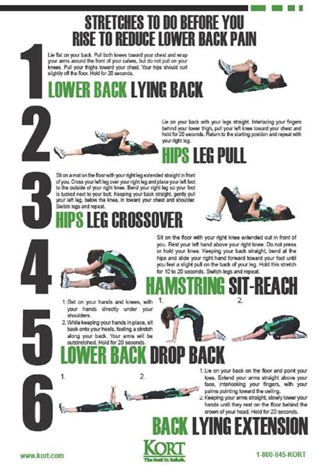 Low Back Pain Stretches Exercise Pinterest