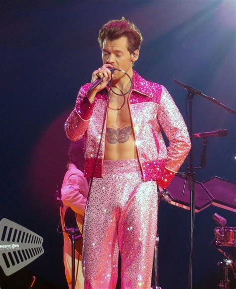 Harry Styles Clearly Went Commando At Birthday Concert