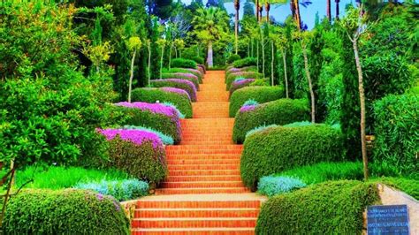 Steps Between Colorful Plants In Garden Surrounded By Trees Hd Nature