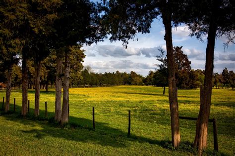 Free Images Landscape Tree Nature Forest Grass Fence Sky Field