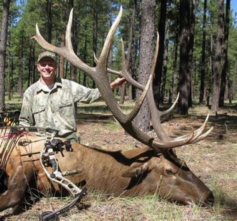 Archery Bull Elk Hunting