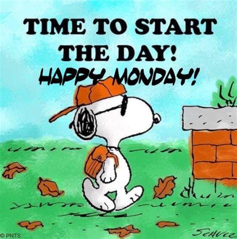 Monday Snoopy Friday Snoopy Quotes Snoopy Funny