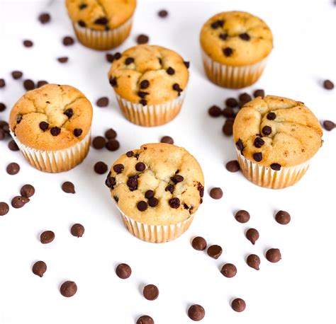 Chocolate Chip Muffins Natures Flair