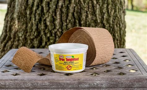 Tanglefoot Tree Care Kit Tree Insect Barrier And Tangle Guard Wrap