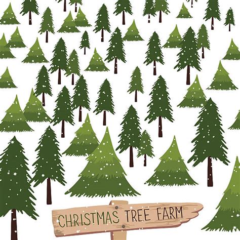 Christmas Tree Farm Illustrations Royalty Free Vector Graphics And Clip