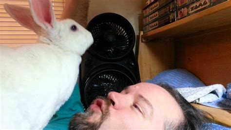 Bree Bunny Kisses Youtube
