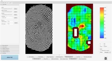 Characteristic and Necessary Minutiae in Fingerprints | Papers With Code