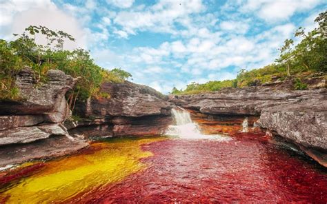 Destacan La Biodiversidad En Colombia A Nivel Mundial • La Nación