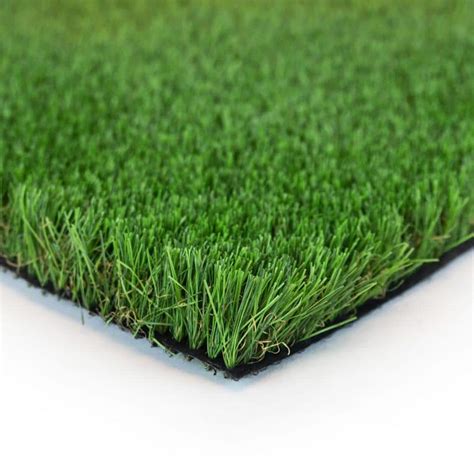 Trafficmaster Fescue Multipurpose 12 Ft Wide X Cut To Length Green