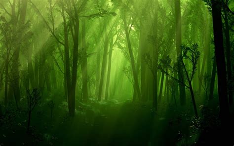 Beautiful Creatures Dark Magical Forest