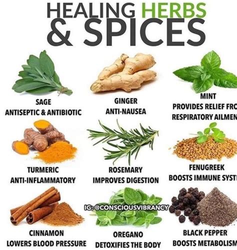Just Me~ Healing Herbs Healing Food Herbs For Health