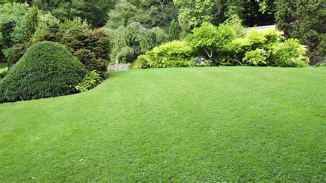 Progressive Charlestown Improve Your Lawn And Save Money