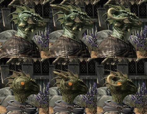 Does Argonian Have Any Form Of Ears The Elder Scrolls V Skyrim