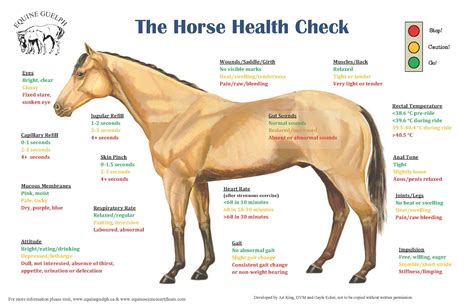 Horse Health Check List Equineguelphcapdffactshealth