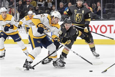 A nashville predators fan was charged with possessing instruments of a crime for throwing a catfish on the ice during his team's stanley cup final opener. Nashville Predators: New year brings new questions for the ...