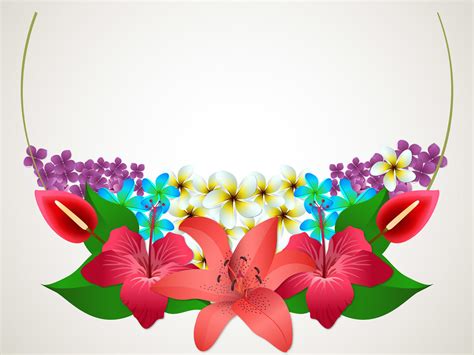 Summer Flowers Backgrounds 3d Border And Frames Flowers Templates