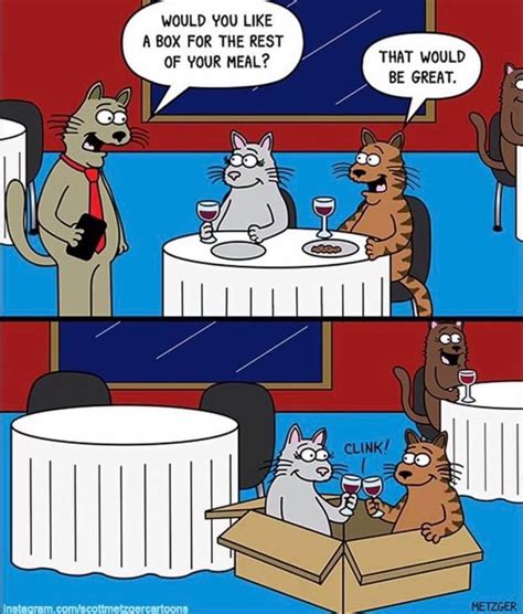 Funny Cat Cartoons With Captions Cat Mania