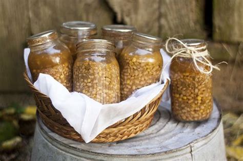 This white chicken chili is hearty, warming, creamy and perfectly comforting. Homemaking on the Homestead: Canning White Bean Chicken ...