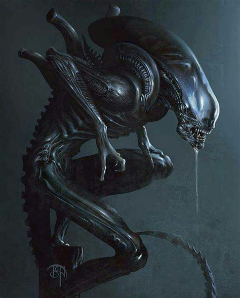 Alien Xenomorph By Benny Kusnoto Alien Vs Predator Predator Artwork