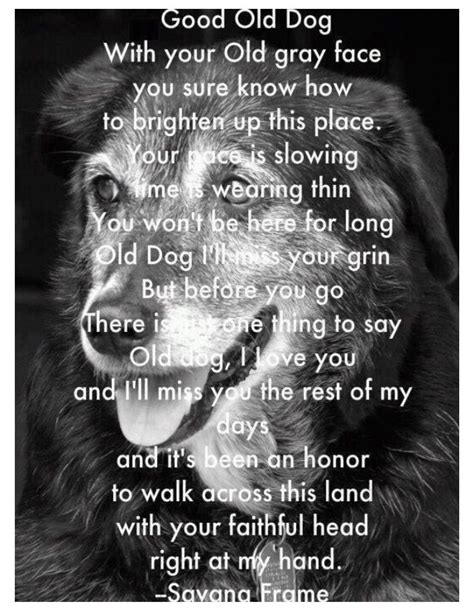 Hard To Say Goodbye Old Dogs Dog Quotes Dog Love