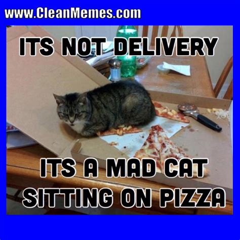 Cat Memes Page 3 Clean Memes