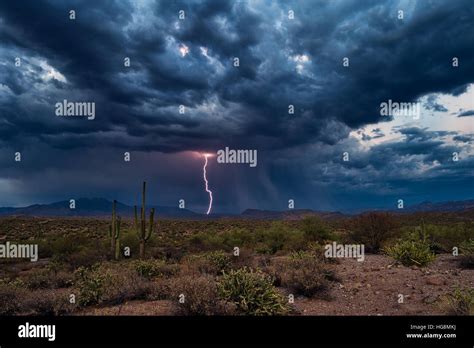 Summer Thunderstorm With Lightning Striking Over The Arizona Desert