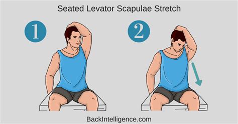 Best Ergonomic Neck And Shoulder Stretches To Do While Working From