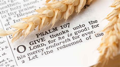 Top 10 Thanksgiving Bible Verses Scriputres On Gratitude And Thankfulness
