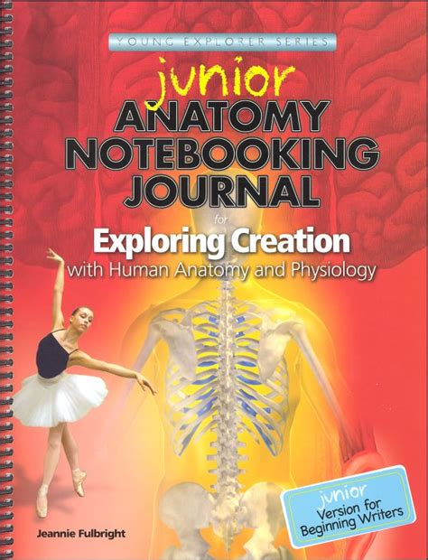 Apologia Junior Anatomy Notebook Printable Anatomy Worksheets